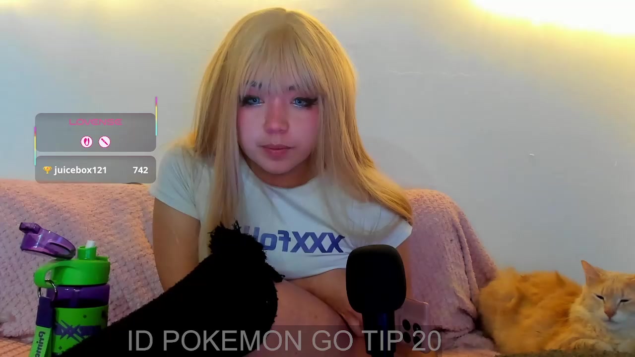 meowmelf 2026-Jun-23 05:28:18