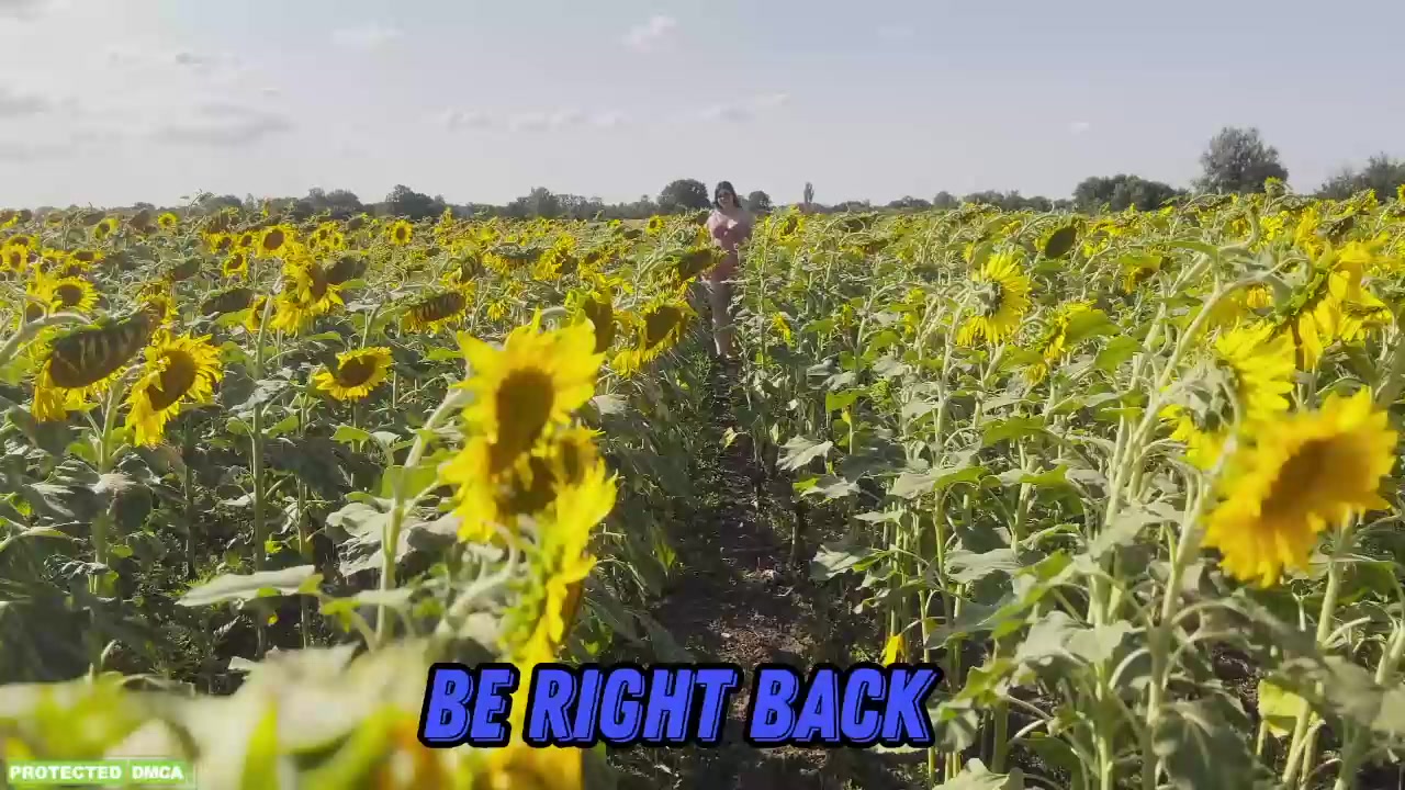 sunflower0907 2026-Jul-16 11:16:34