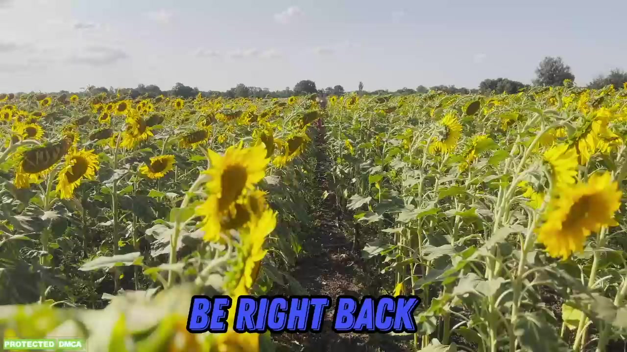 sunflower0907 2026-Jul-16 11:22:46