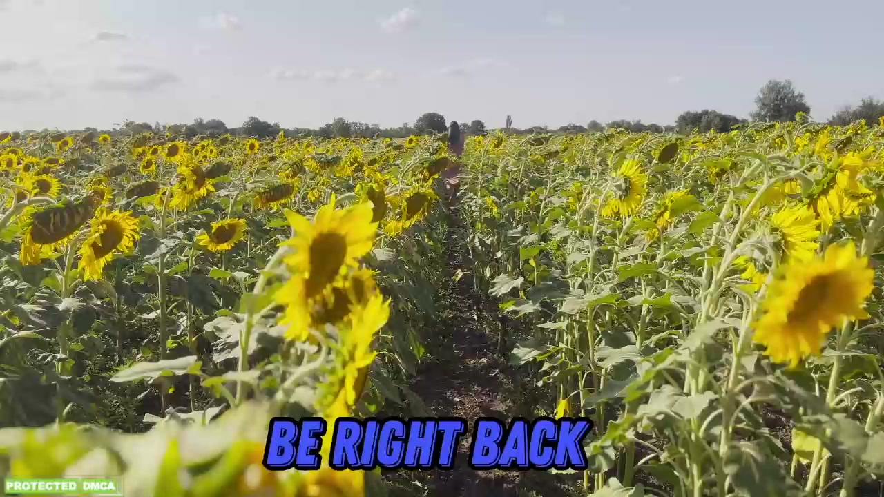 sunflower0907 2026-Jul-16 11:28:58